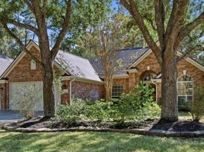 2202 Stoneycreek Park Court, Conroe TX 77385