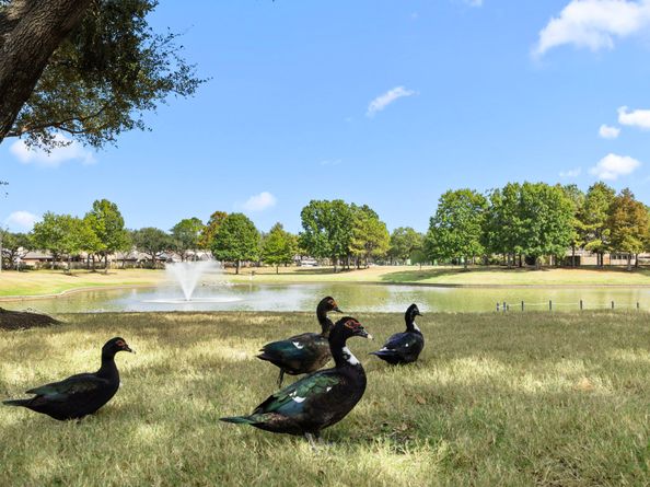 8034 Ivy Bush Bend Lane, Richmond TX 77407