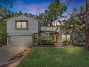 53 W Torch Pine Circle, The Woodlands TX 77381