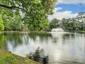 45 Patti Lynn Lane, Houston TX 77024