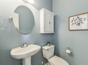 20303 Misty River Way, Cypress TX 77433