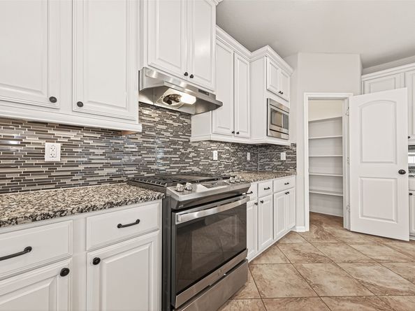 19503 S Coral Honeysuckle Loop, Cypress TX 77433