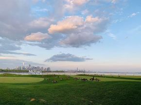 30 Freedom Way 306, Jersey City NJ 07305