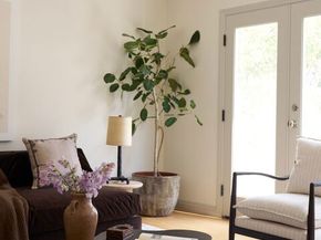 923 S Ogden Drive, Los Angeles CA 90036