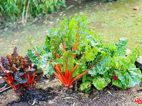 12909 Ida Avenue, Los Angeles CA 90066