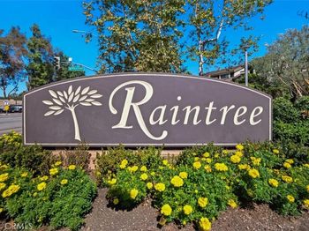 3310 Raintree