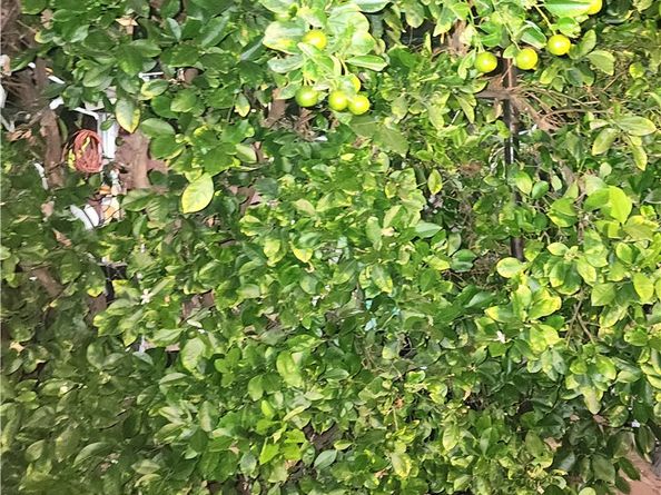 8345 Kester, Panorama City CA 91402