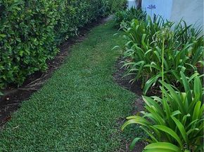 311 Montechico Drive, Monterey Park CA 91754