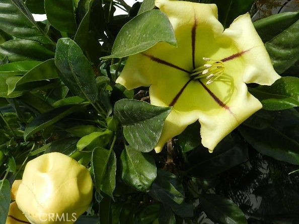 311 Montechico Drive, Monterey Park CA 91754