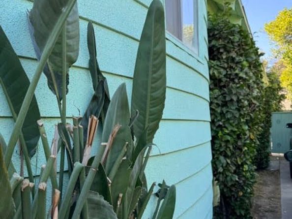 1199 W 38th Street, Los Angeles CA 90037