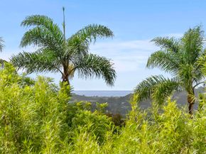 3401 Adams Run, Encinitas CA 92024