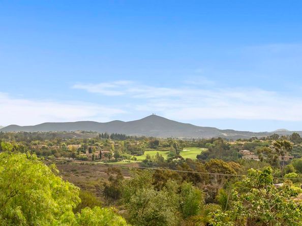 3401 Adams Run, Encinitas CA 92024