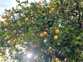 819 N Hicks Avenue, Los Angeles CA 90063