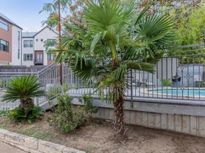 3204 Menchaca RD 710, Austin TX 78704