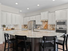 1008 Teravista XING, Georgetown TX 78626