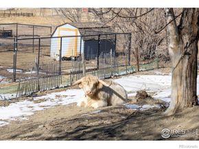 4963 Kelso Road, Boulder CO 80301