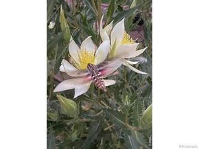 1111 Utica Circle, Boulder CO 80304