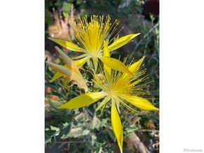 1111 Utica Circle, Boulder CO 80304