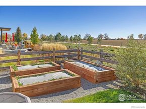 4759 Summerlin Place, Longmont CO 80503