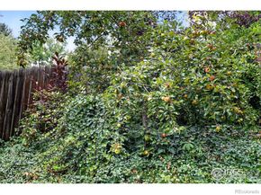 2423 23rd Street, Boulder CO 80304