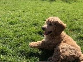 601 W 11th Avenue 604, Denver CO 80204