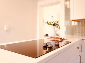 1544 N Downing Street, Denver CO 80218