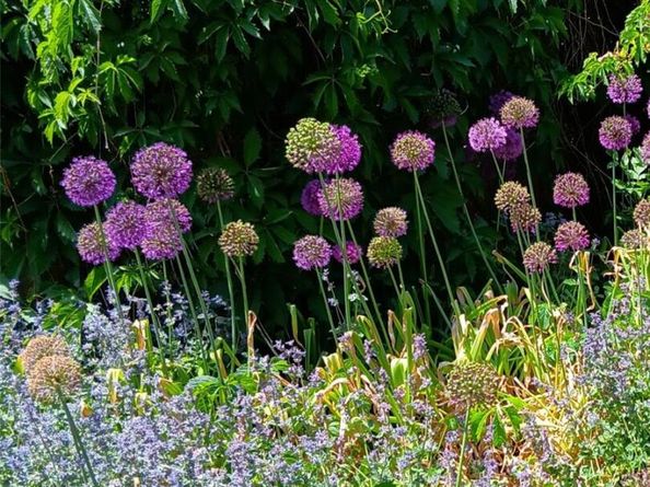 8095 E Lehigh Avenue, Denver CO 80237