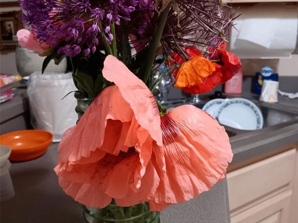 8095 E Lehigh Avenue, Denver CO 80237