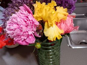 8095 E Lehigh Avenue, Denver CO 80237