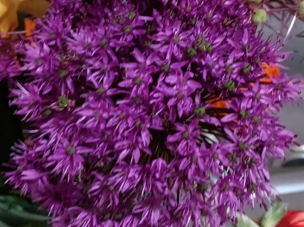 8095 E Lehigh Avenue, Denver CO 80237