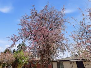 4740 E Jewell Avenue, Denver CO 80222