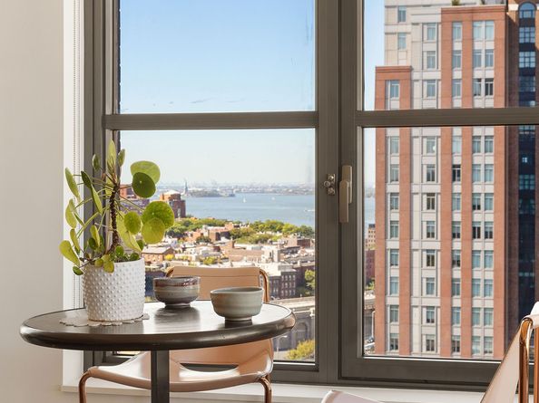 115 York Street 17A, Brooklyn NY 11201