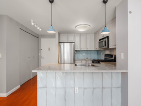 425 Main Street 10J, New York NY 10044