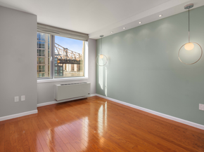 425 Main Street 10J, New York NY 10044