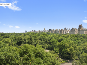 120 Central Park S 12C, New York NY 10019