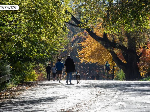 676 Union Street, Brooklyn NY 11215