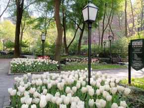 333 East 43rd Street 504, New York NY 10017