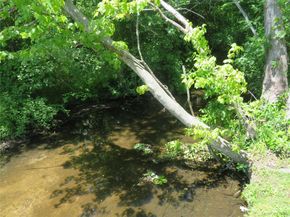 440 Spangle Drive, North Babylon NY 11703