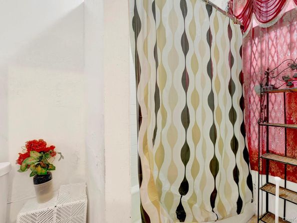 443 Marion Street, Brooklyn NY 11233