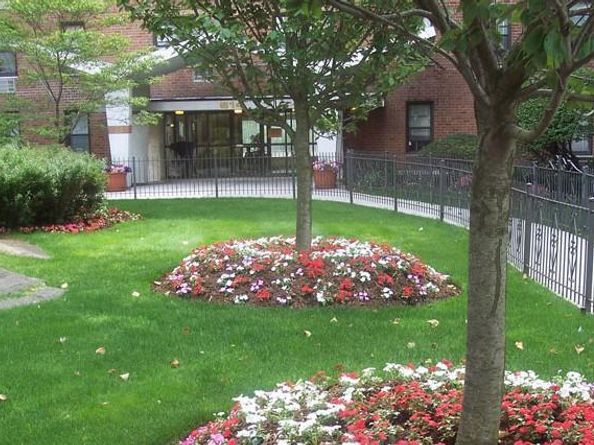 814 Tilden Street 1A, Bronx NY 10467