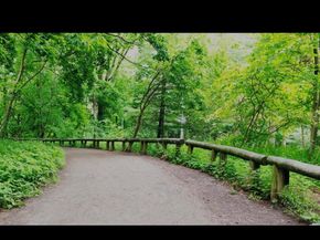 86-19 79th Street, Woodhaven NY 11421