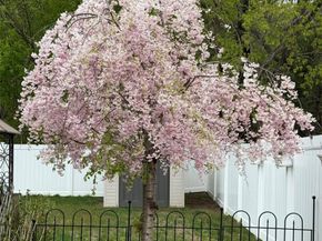 420 Dare Road, Selden NY 11784
