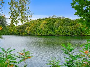 145 Canal Street 10, Shelton CT 06484