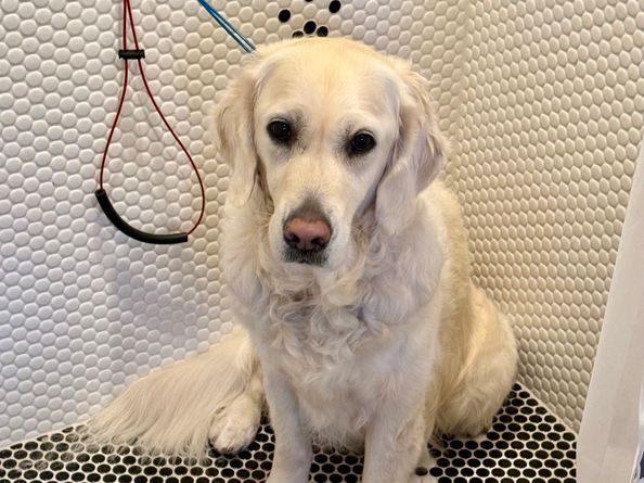 176 Logan Road, New Canaan CT 06840