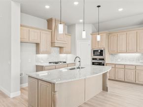 411  Atlas Cedar Drive , Glenn Heights Texas 75154