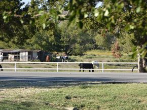 312 E Tripp Road , Sunnyvale Texas 75182