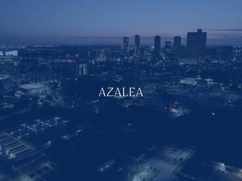 308  Golden Bell Lane 