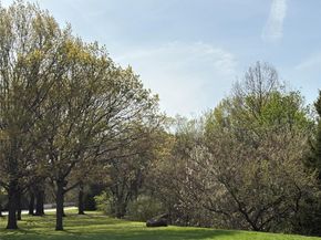 3909  Alta Vista Lane , Dallas Texas 75229