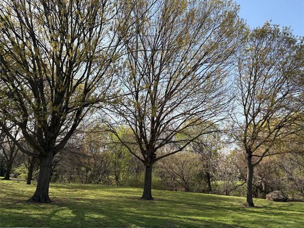 3909  Alta Vista Lane , Dallas Texas 75229