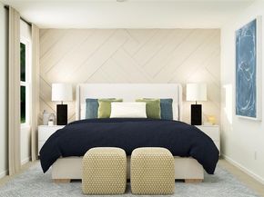 3152  Burmese Street , Providence Village Texas 76227